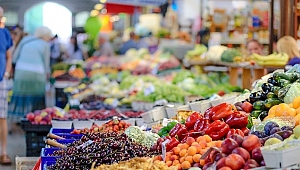 TÜFE aylık %1,13 arttı