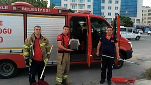 İtfaiye ekipleri kediyi kurtardı