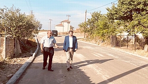 Vali Tavlı çalışmaları inceledi