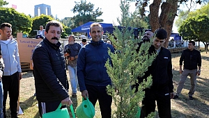 Bu yıl 100 bin fidan dikilecek