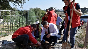 Çanakkale'ye gelen öğrenciler fidan dikti