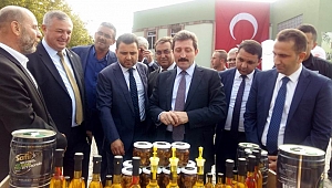Geyikli'de Zeytin Hasat Şenliği