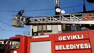 Geyikli'de kedi kurtarma operasyonu
