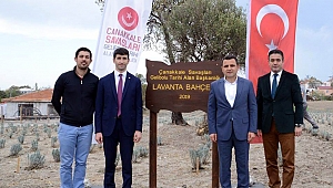 Tarihi Alan'da lavantalar toprakla buluştu