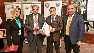 Dim; "Ürdün'le işbirliği yapıyoruz"