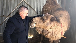Başkan Oruçoğlu’ndan tepki