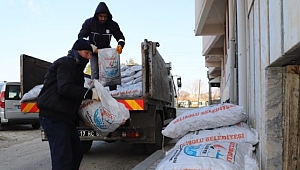 Gelibolu'da kömür yardımı