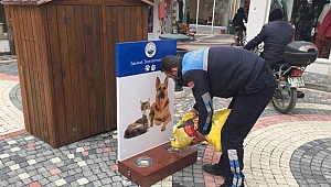 “Sokaklardaki can dostlarımız aç kalmasın”