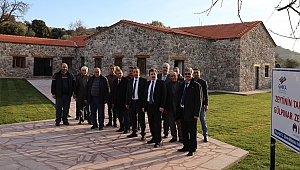 Vali Tavlı'dan inceleme