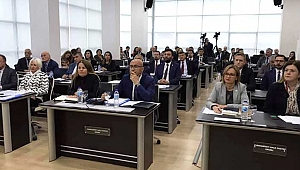 Belediye Meclisi için 3 ay erteleme