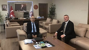Geyikli üniversiteye kavuşacak