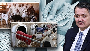 Destek ödemeleri 24 Nisan'da başlıyor