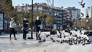 Martılar da unutulmadı