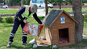 Sokak hayvanları için mama bırakılıyor