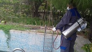 Dardanos ve Güzelyalı'da ilaçlama çalışması