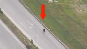 Hırsızlar drone ile yakalandı