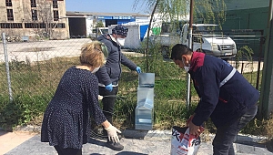 Belediyeden can dostlarına 15 ton mama