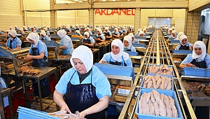 Çanakkale'nin 'marka' şampiyonu Dardanel!