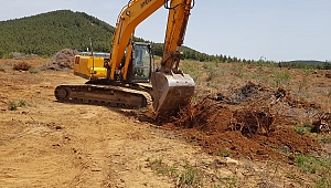 Ekonomiye kazandırılıyor