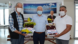 Lapseki'de kirazlar görücüye çıktı