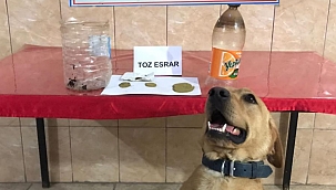 Biga'da uyuşturucu operasyonu
