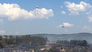 Çanakkale'de orman yangını 3