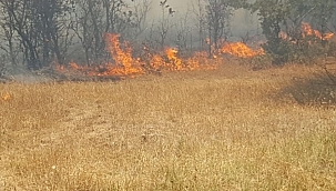 Çanakkale Kumkale'de yangın