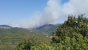 Çanakkale Yenice'de yangın ! 3