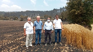CHP heyeti yanan alanları inceledi