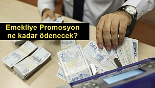 Emeklilere promosyon ne kadar ödenecek?