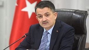 Son dakika.. Çanakkale Eceabat'da yangın !4