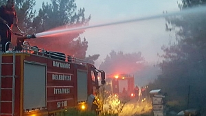 Yangının çıkış nedeni araştırılıyor