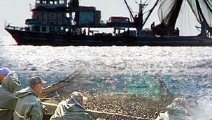 1 Eylül'de başlıyor