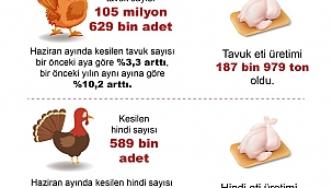 Haziran'da tavuk eti üretimi 187 bin 979 ton !
