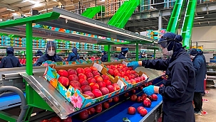 Kumkale Çiftliği, "TSE COVID-19 Güvenli Üretim Belgesi" aldı