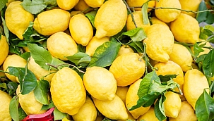 Limon ihracatında ön izin şartı kaldırıldı