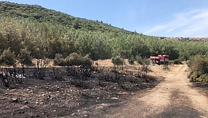 Saraycık'da yangın !