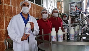 Biga Meslek Yüksekokulunda günlük süt üretimi başladı