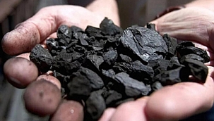 Biga ve Lapseki'de 355 bin ton kömür