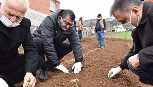 Salep fidelerini toprakla buluşturduk