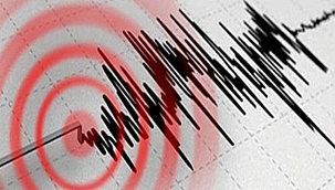Van'da korkutan deprem!