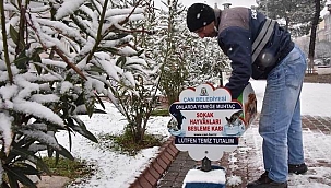 Çan Belediyesi de karda can dostlarını unutmadı