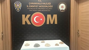 Çanakkale’de 2 milyon yıllık denizyıldızı fosili ele geçirildi
