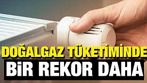 Doğalgazda yeni rekor