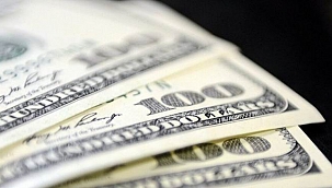 Dolar haftaya yükselişle başladı