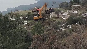 Katledilen zeytinlik için soruşturma