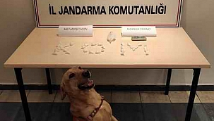 3 zehir taciri tutuklandı