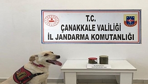 Jandarma uyuşturucu operasyonları devam ediyor: 7 tutuklama