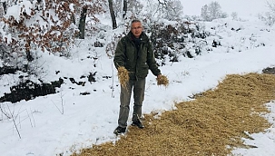 Yaban hayvanları için doğaya yem bırakıldı