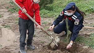 Çocuklar, jandarma ekipleriyle fidan dikti
